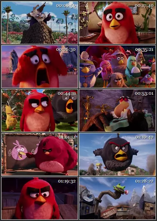 Кадр из фильма «Angry Birds в кино», 512x288